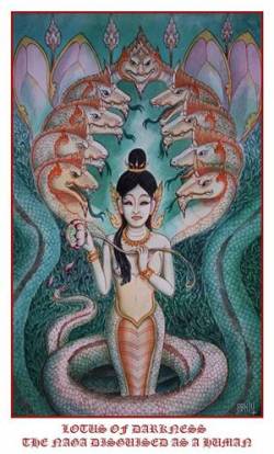 Lotus Of Darkness : The Naga Disguised As a Human